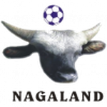 ناجالاند logo