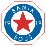 بانيك سوش logo