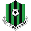 روكيتساني logo