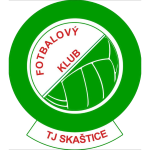 سكاشتيتسه logo