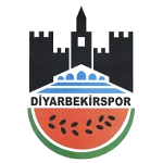 ديار بكر سبور