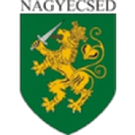 ناجيكيدش آر إس إي logo