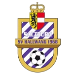 هالوينغ logo