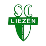 ليزين logo