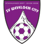ويفلجيم سيتي logo