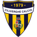 تشيليفيرغي logo
