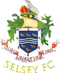 سيلسي logo