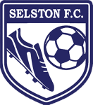 سيلستون logo
