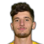 T. Gorenc Stankovič