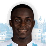 Stick Carlos Castro Palma