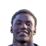 P. Ndinga Ossibadjouo