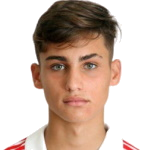 Pedro Andrade Drozina