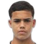 Gustavo Henrique Pereira