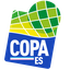 Copa Espírito Santo logo