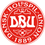 Denmark Series - Group 1 logo