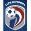 Division Profesional - Clausura logo
