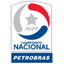 Primera División logo