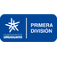 Primera División - Apertura logo