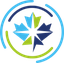 Canadian Premier League logo