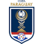 Copa Paraguay logo