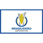Brasileiro de Aspirantes logo
