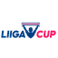 League Cup logo
