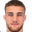 D. Bîrligea