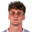 G. Piccinini