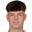 N. Bajlicz