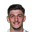 F. Demir