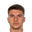 L. Bosnjak