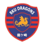 ريوتسو كيزاي دراغونز logo