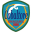 كوبالتوري أوناغاوا logo