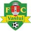Vaslui logo