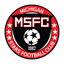 ميشيغان ستارز logo