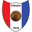 يونغ هولاند logo