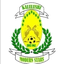 كالولوشي مودرن ستارز logo
