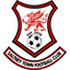 Saltney Town logo