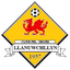 Llanuwchllyn logo