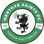 Merthyr Saints logo
