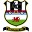 Risca United logo