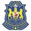Splott Albion logo