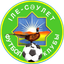 إلي-ساوليت logo