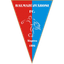 بالمازويفاروشي إف سي logo