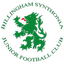 بيلينغهام سينثونيا logo