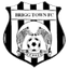 بريج تاون logo