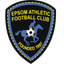 Epsom Athletic logo