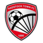 رادستوك تاون logo