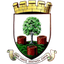 ويلز سيتي logo