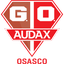 Gremio Osasco Audax logo